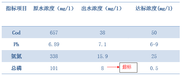 屠宰場廢水總磷超標(biāo)處理水質(zhì)